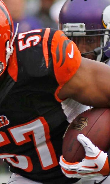Five Things We Learned: Turnovers tell the story in Vikings' loss to Bengals